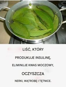 Musisz znać ten liść – kontroluje cukrzycę i oczyszcza nerki, wątrobę i tętnice!