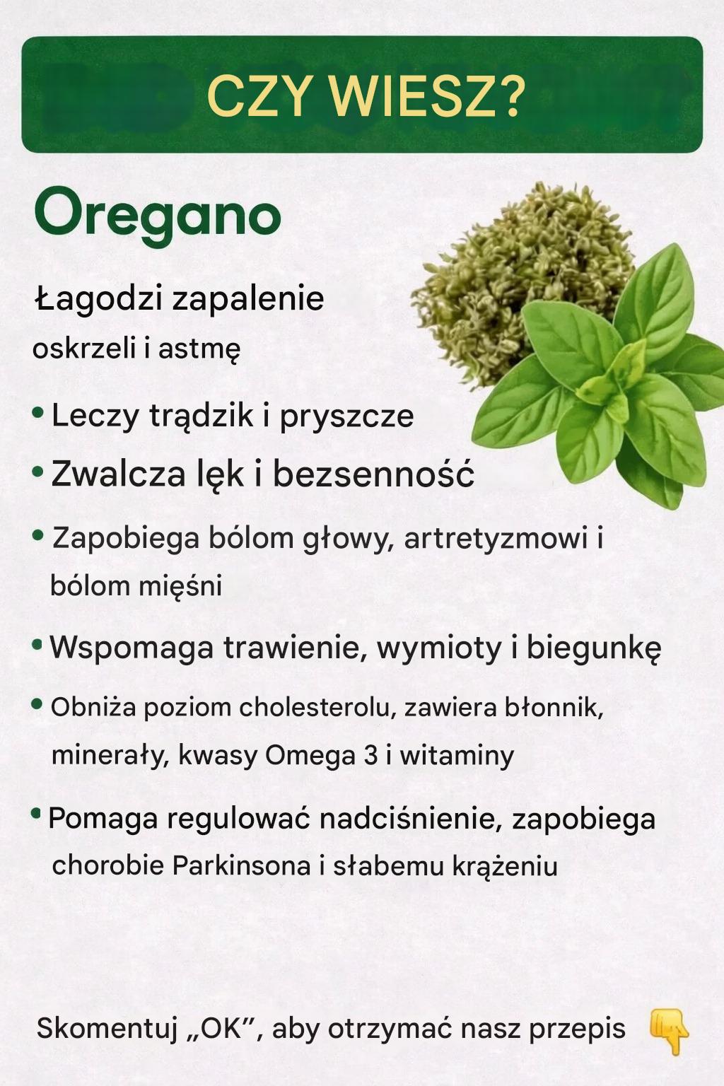 Jeśli masz tę roślinę w domu, siedzisz na ukrytym skarbie: mocy aloesu