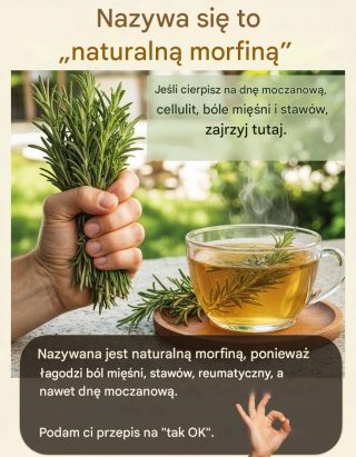 Nazywa się ją naturalną morfiną, ponieważ łagodzi bóle mięśni i stawów, reumatyzm, a nawet dnę moczanową.