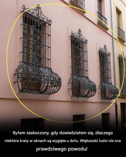 Wiele osób myśli, że to tylko dekoracja!
