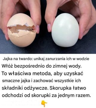 Jajka na twardo: unikaj zanurzania ich bezpośrednio w zimnej wodzie. Oto prawidłowa metoda, aby uzyskać smaczne jajka i zachować wszystkie ich składniki odżywcze. Skorupka łatwo odchodzi od skorupki za jednym razem.