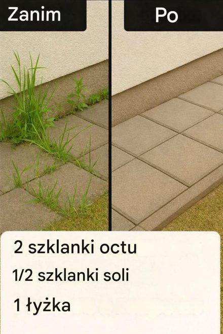 Jak zrobić superskuteczny domowy herbicyd